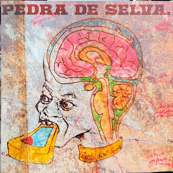 Curumin - Pedra de Selva