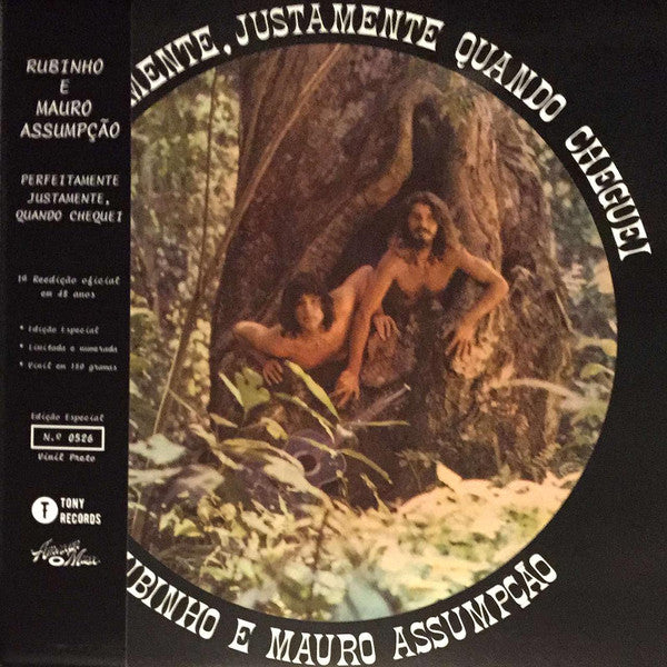 Rubinho E Mauro Assumpção – Perfeitamente, Justamente Quando Cheguei