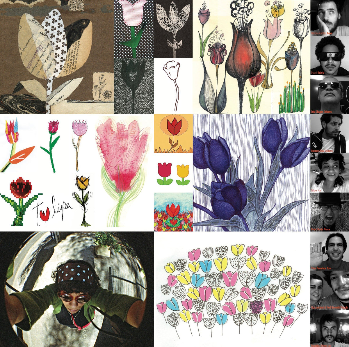 Tulipa – Efêmera
